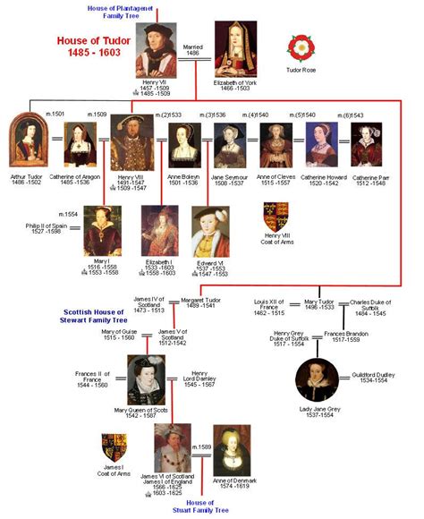 tudor tree|tudor family tree ancestry.